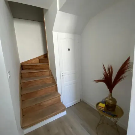 Apartamento Le Tropical : T2 Renove Ambiance Cosy Et Coloree