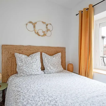 Le Tropical : T2 Renove Ambiance Cosy Et Coloree