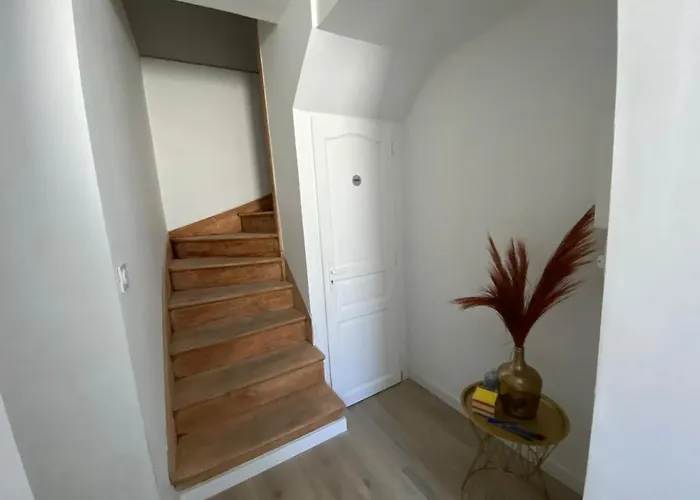 Апартаменты Le Tropical : T2 Renove Ambiance Cosy Et Coloree