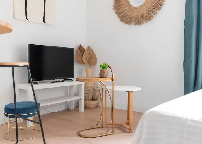 Le Tropical : T2 Renove Ambiance Cosy Et Coloree Апартаменты