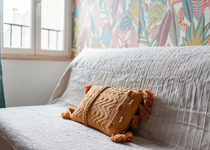 Le Tropical : T2 Renove Ambiance Cosy Et Coloree Апартаменты